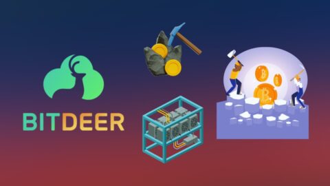 Bitdeer Technologies Statistics 2025: Growth Trends Revealed