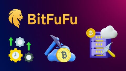 BitFuFu Statistics 2025: Uncover the Miner’s Edge