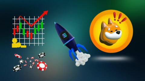 BONK Coin Statistics 2025: Tracking Supply, Burns & Holder Trends