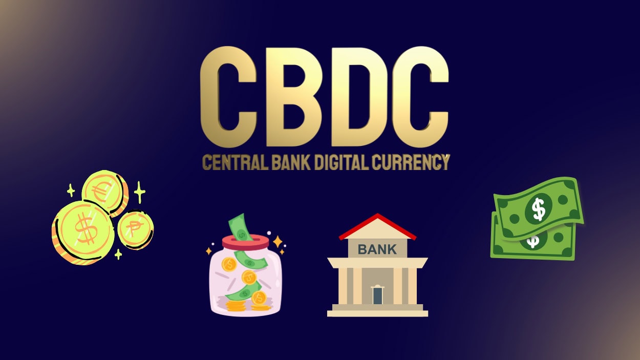 CBDC Statistics