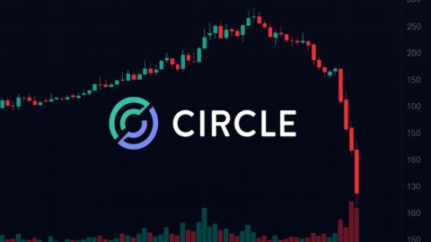 Circle Stock Falls 6% After 10M Share Secondary Offering Announcement