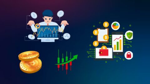 Crypto HODLing Statistics 2025: Secrets of Smart Investors