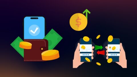 Digital Wallets with the Highest Transaction Costs: What You Need to Know Before Transferring Funds