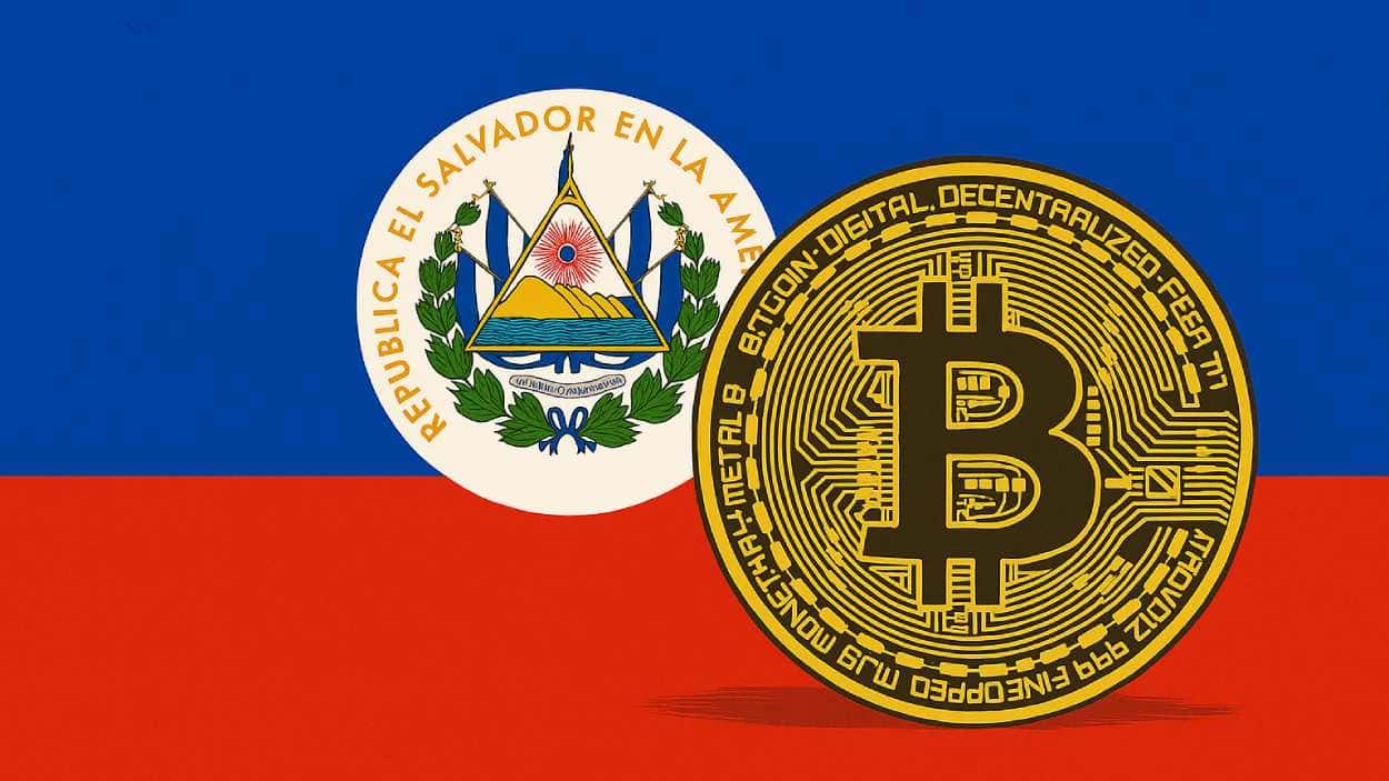 El Salvador Buys Btc On Bitcoin Day