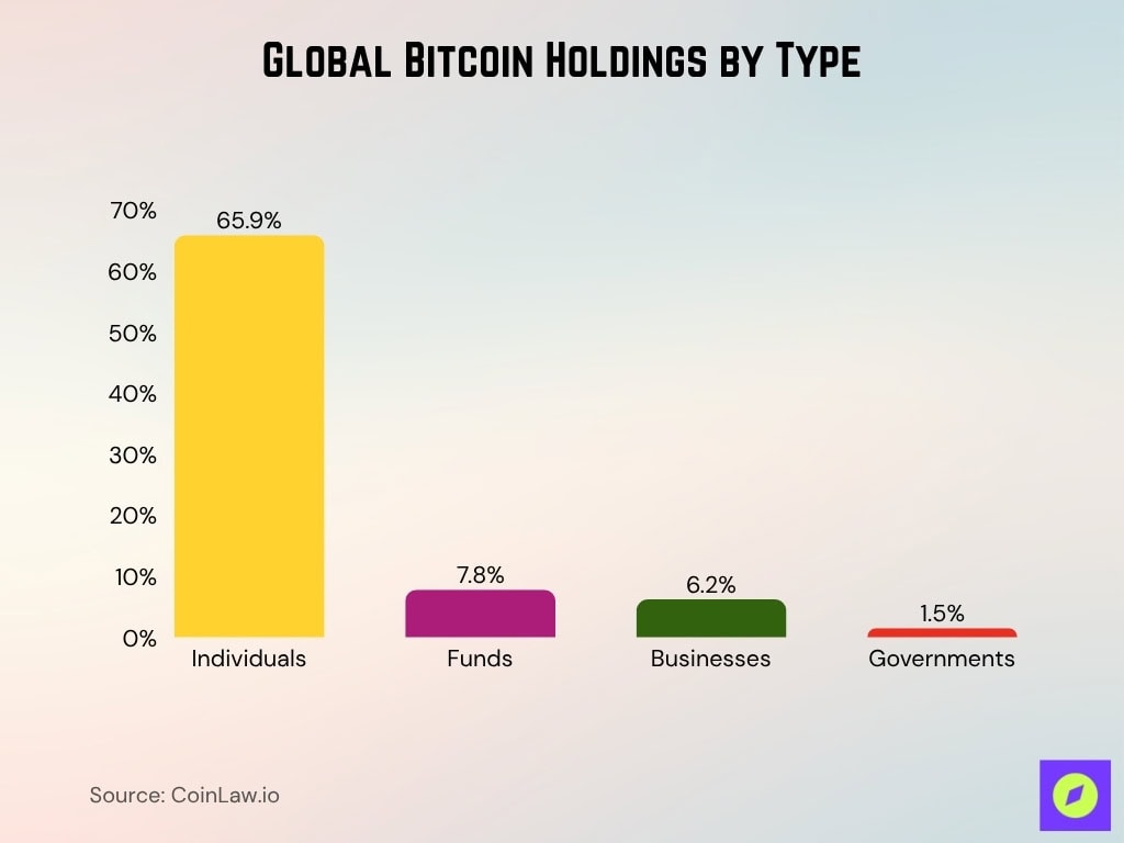 Global Bitcoin Holdings By Type