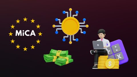 Impact of MiCA on DeFi Platforms Statistics 2025: Transforming the DeFi Landscape with New Regulations