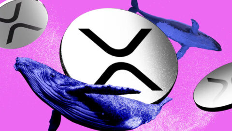 Not Trading XRP? JAMining Turns Market Fluctuations into Short-Term Gains