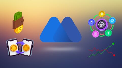 MEXC Statistics 2025: Crypto Growth, Volume & Resilience