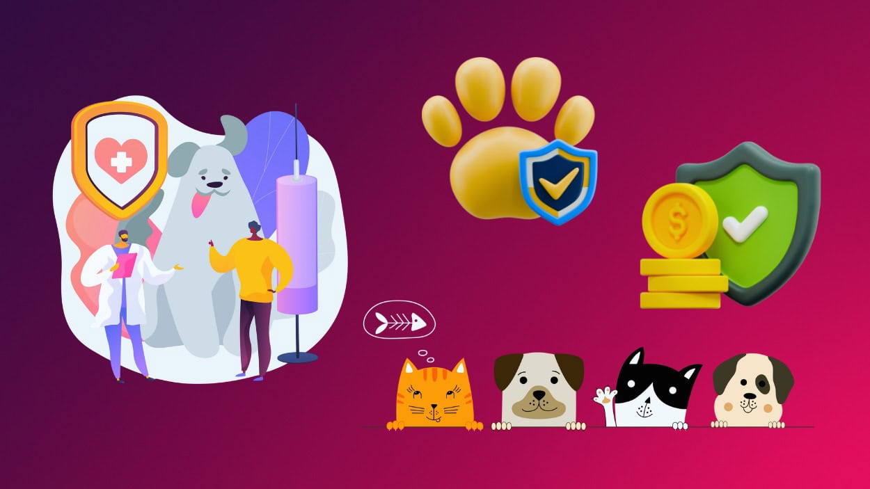 Most Expensive Pet Insurance