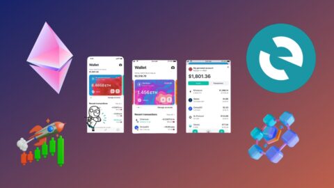 MyEtherWallet Statistics 2025: The Truth Behind Growth