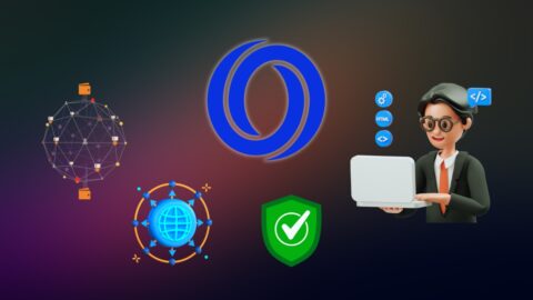 Oasis Network Statistics 2025: Unveiling Usage, Growth & Privacy Trends