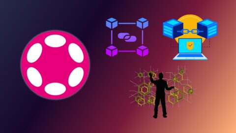 Polkadot Statistics 2025: Ecosystem Growth & Network Pulse