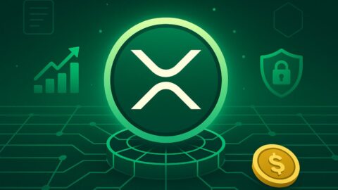 RippleX Pushes XRPL into DeFi with Lending, Privacy Tools and Liquid Staking