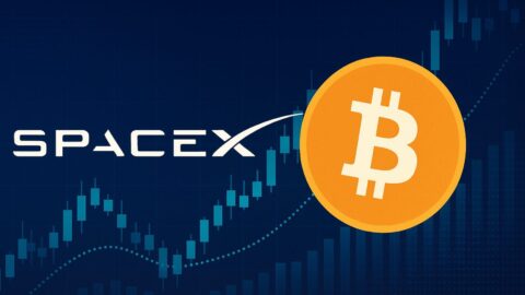 Elon Musk’s SpaceX Transfers 2,495 BTC in Strategic Crypto Shift