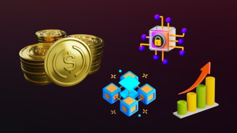 Stablecoin Market Share by Chain Statistics 2025: Chains, Coins, & Winners Revealed