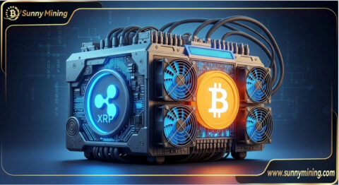 Sunny Mining Mobile App Debuts: Mine BTC & XRP Anywhere, Earn Daily Passive Income