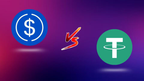 USD Coin vs. Tether Statistics 2025: Market Trends, Compliance & Crypto Use