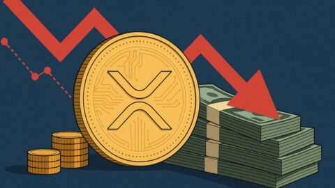 XRP Faces Selloff Strain as Ripple Co-Founder Offloads Millions