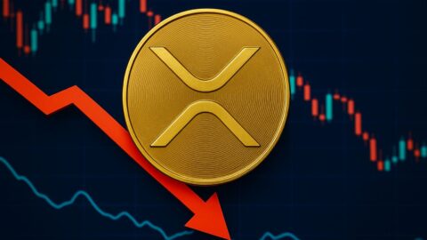 XRP Price Slides Below $3 as Whales Offload 470 Million Tokens