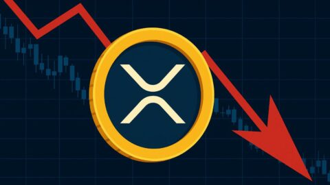 XRP Price Falls Below $3 Amid MVRV Death Cross and Whale Exit