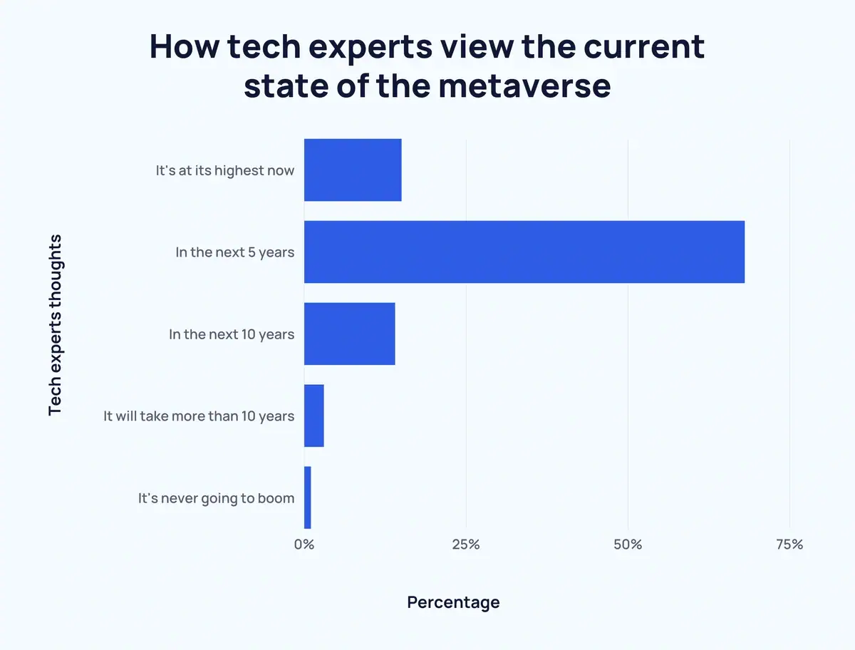 Tech Experts' Views on the Future of the Metaverse
